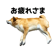 733569649