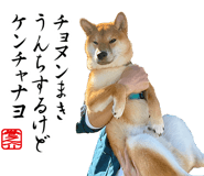 733569657