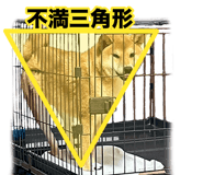 733569659