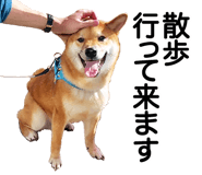 733569660