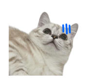 733573940