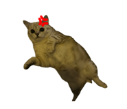 733573942