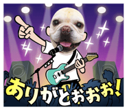 733579353