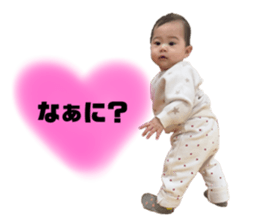 733580118