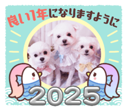 733590225