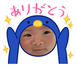 733597485