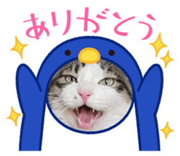 733623912