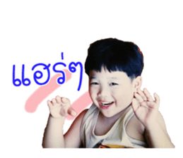 73363619