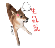 733638980