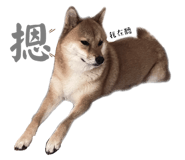 733638986