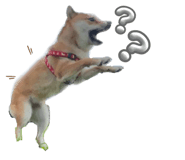 733638988