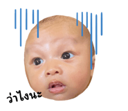 733640268