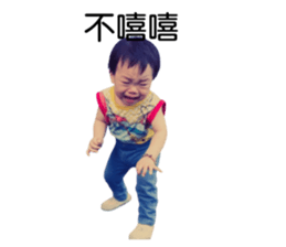 733643804