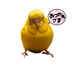 733644098