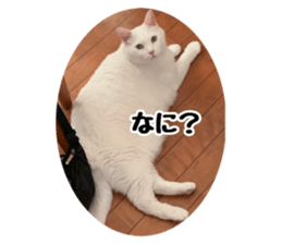 733651030