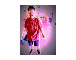 733657252