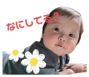 733669197