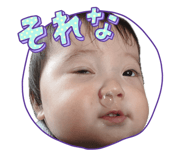 733669202