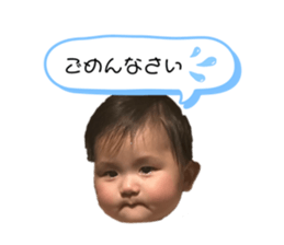 733670181