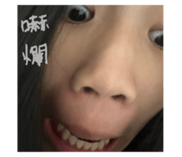 733680333