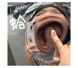 733680334