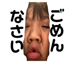 733682355