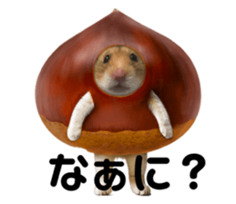 733691846