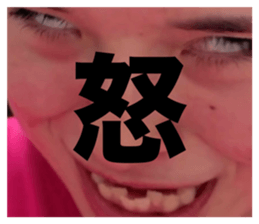 733697731