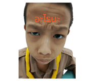 733697976