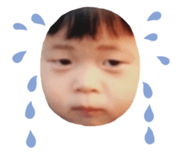 733698050