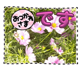 733721170
