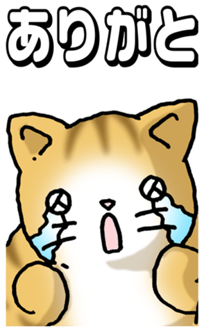 733721435