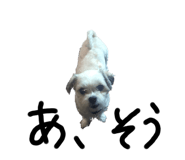 733773017