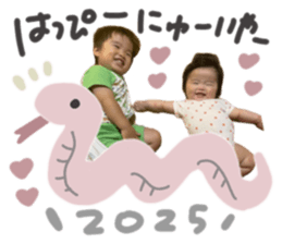 733773081