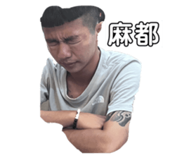 733775456