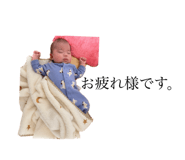 733777861