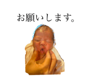 733777866