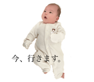 733777867