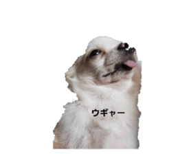 733777896