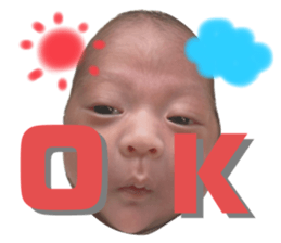 733778915
