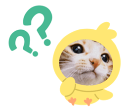 733780800