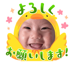 733782694