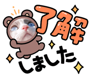 733788335