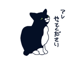 733795686