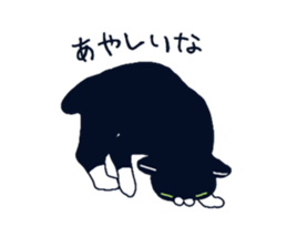 733795688