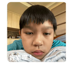 733796311
