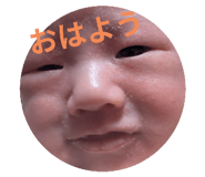 733796736