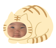 733798289
