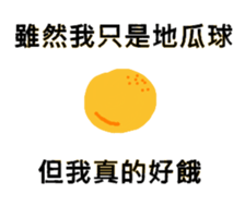 733799431