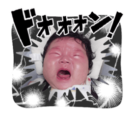 733800010